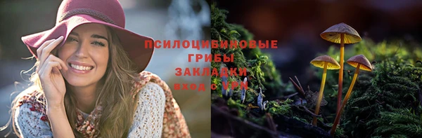 твердый Алзамай