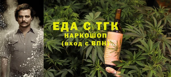 хмурый Алексин