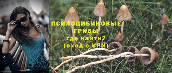 твердый Алзамай