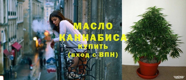 дживик Пестово