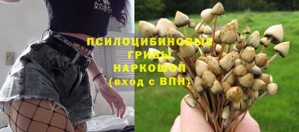 твердый Алзамай
