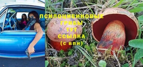 хмурый Алексин