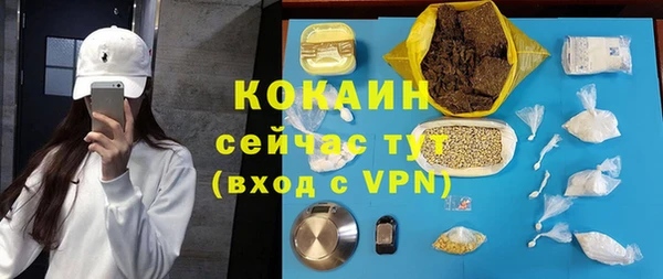 хмурый Алексин