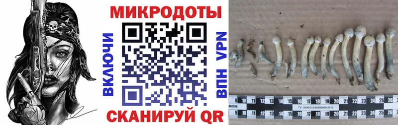 Галлюциногенные грибы мухоморы хочу наркоту Усть-Кут